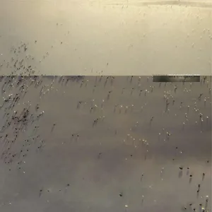 Hold everything dear